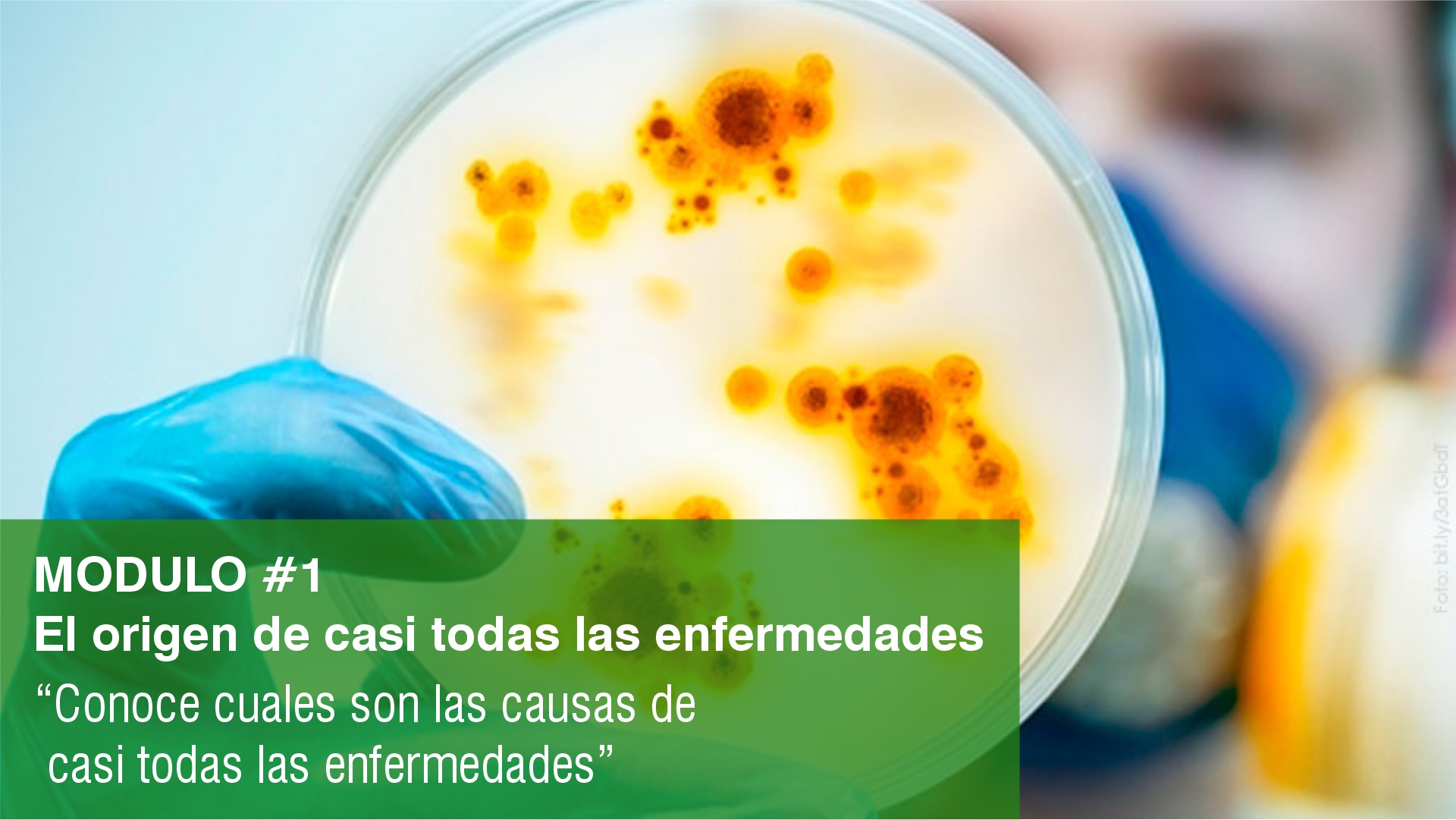 1.- El origen de casi todas las enfermedades