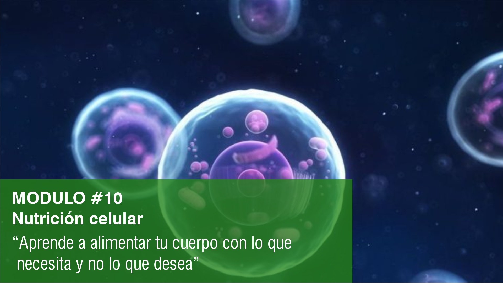 10.- Nutrición celular