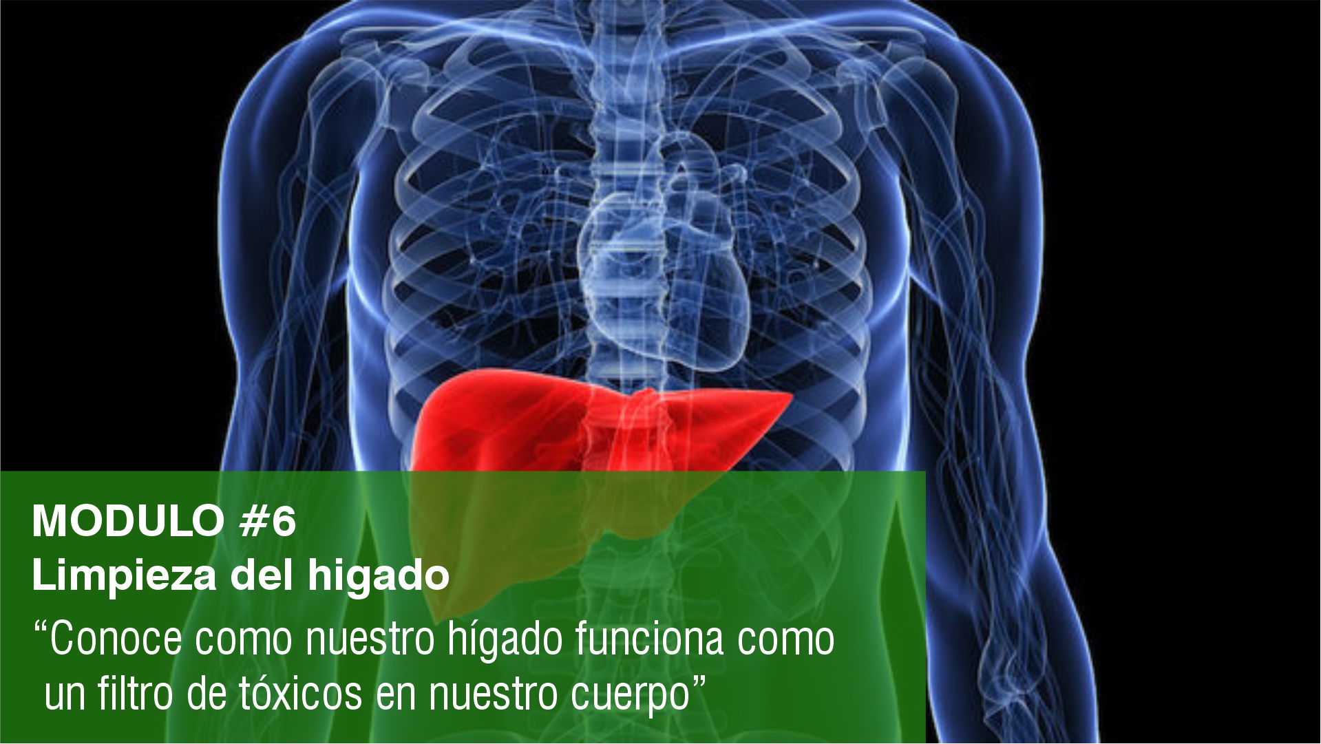 6.- Limpieza del colon e hígado