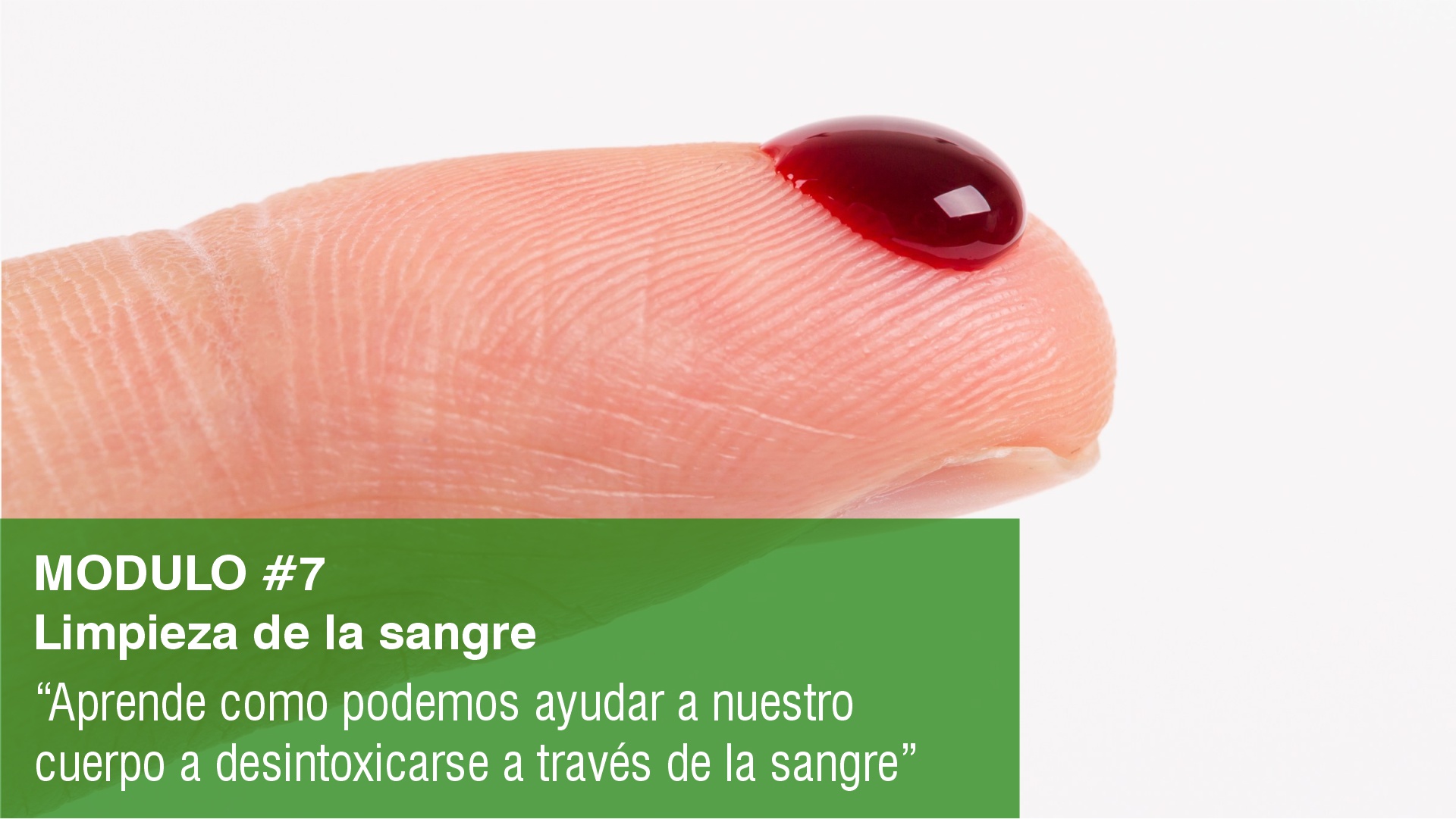 7.- Limpieza de la sangre